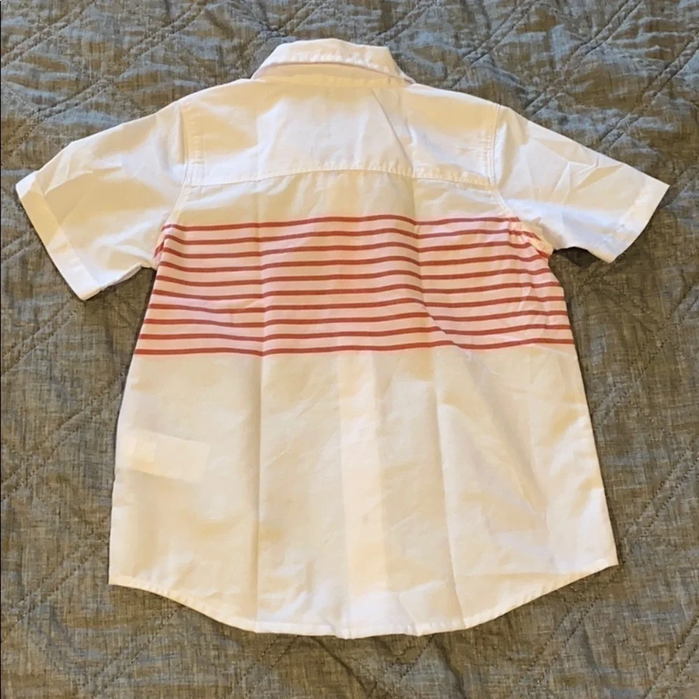 Patriotic button down collared shirt
